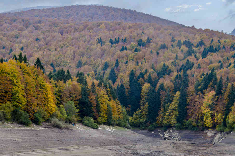Comunidad Foral de Navarra 082 - Selva de Irati.jpg